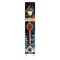 Edge Collections - 42" x 7" - Multicolor - Festive Welcome Birds Garden Stake - 1 Piece